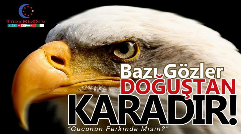 Farkinda misin, Gucunu goster, TurkBirDev kimdir, nedir, kurucusu sefer ozdemir